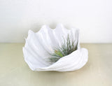 Vintage White Ceramic Shell Bowl