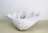 Vintage White Ceramic Shell Bowl
