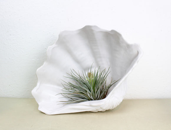 Vintage White Ceramic Shell Bowl